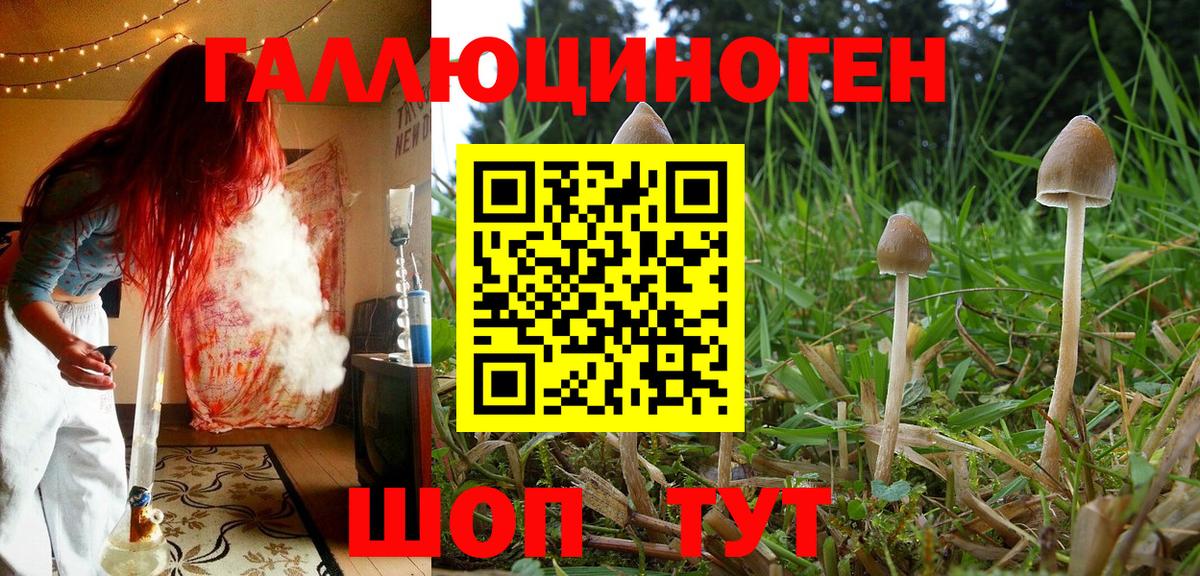 купить закладку  Галлюциногенные грибы мухоморы  Вход с VPN  Саранск 