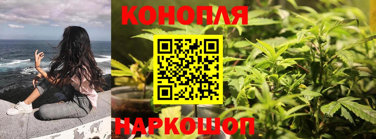 Конопля VHQ  Бошки Шишки гибрид  Вход с VPN  Каннабис White Widow  Саранск 